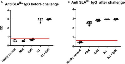 Evaluation of Leishmanization Using Iranian Lizard Leishmania Mixed With CpG-ODN as a Candidate Vaccine Against Experimental Murine Leishmaniasis